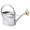 Arrosoir Ovale Pomme Laiton 1.75L Acier Galvanisé à Chaud Anti-corrosion