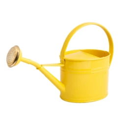 Arrosoir Ovale Pomme Grille Laiton 4L Acier Galvanisé Jaune Citron