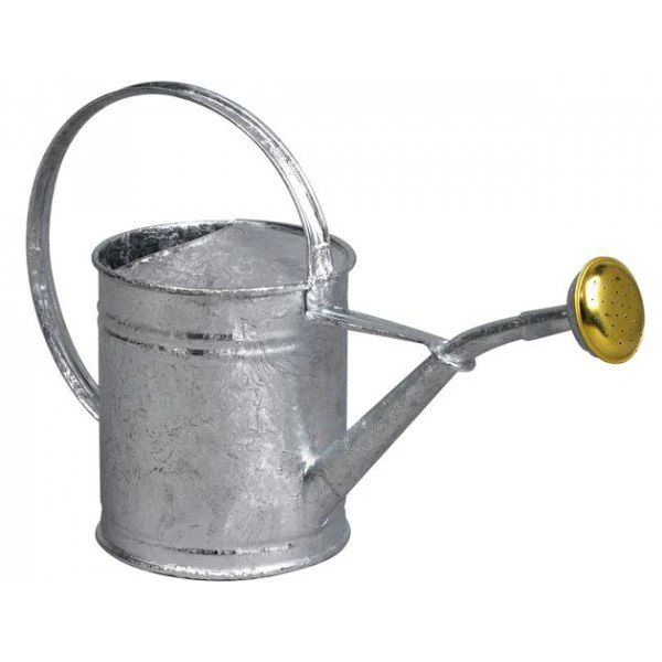 Arrosoir Rond Pomme Laiton 1L Acier Galvanisé à Chaud Anti-corrosion 1 Arrosoir Rond Pomme Laiton 1L Acier Galvanisé à Chaud Anti-corrosion