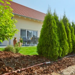 Ensemble Arrosage Goutte à Goutte Rangées De Plantes Gardena 50 M 8 Ensemble Arrosage Goutte à Goutte Rangées De Plantes Gardena 50 M -Magasin D'Outils De Jardinage ensemble complet pour installation arrosage goutte goutte rangees de plantes gardena 6