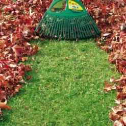 Balai à Gazon XL 27 Dents Manche Bois Spécial Feuilles Leborgne 369711 -Magasin D'Outils De Jardinage imageproduct371873 2