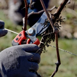 Sécateur Ergonomique Poignée Fixe PX-M2 T M Taille Coupe 20mm Bahco -Magasin D'Outils De Jardinage secateur coupe bahco