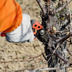 Sécateur Ergonomique Poignée Fixe PX-M2 T M Taille Coupe 20mm Bahco -Magasin D'Outils De Jardinage secateur coupe ergo