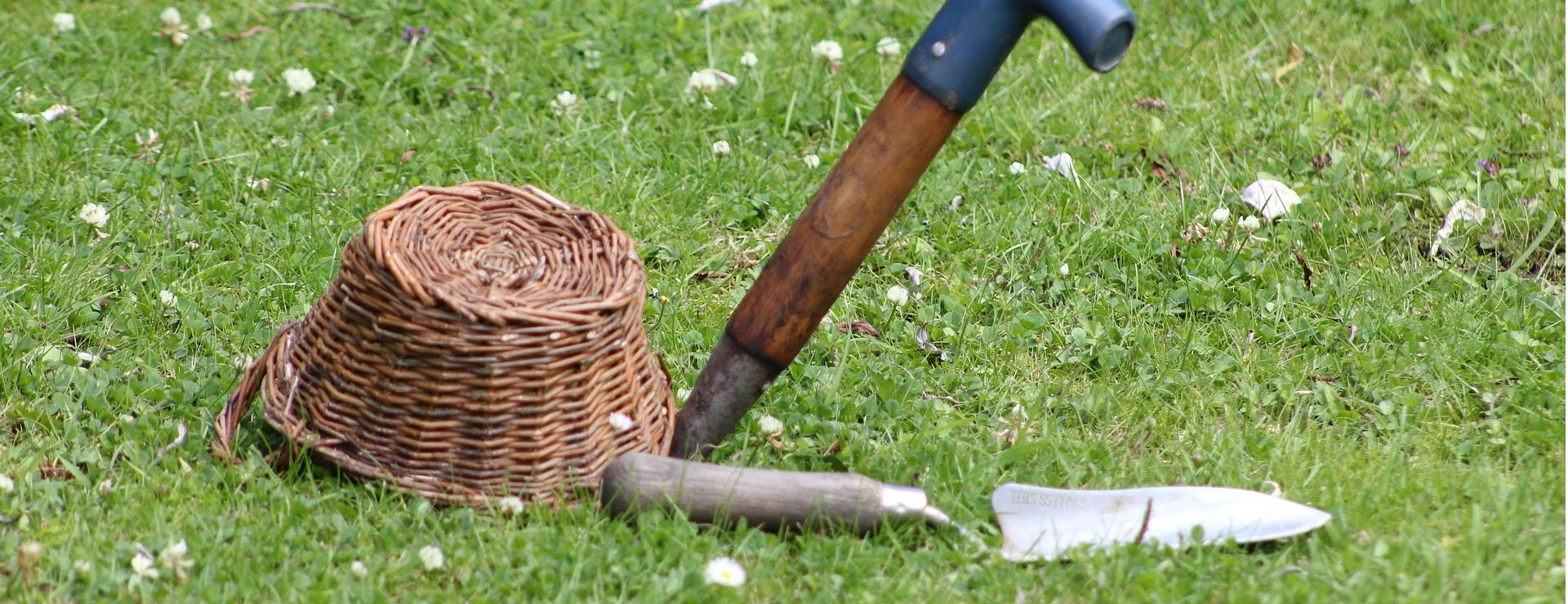 Magasin D'Outils De Jardinage 17 Magasin D'Outils De Jardinage -Magasin D'Outils De Jardinage garden 5377923 1920